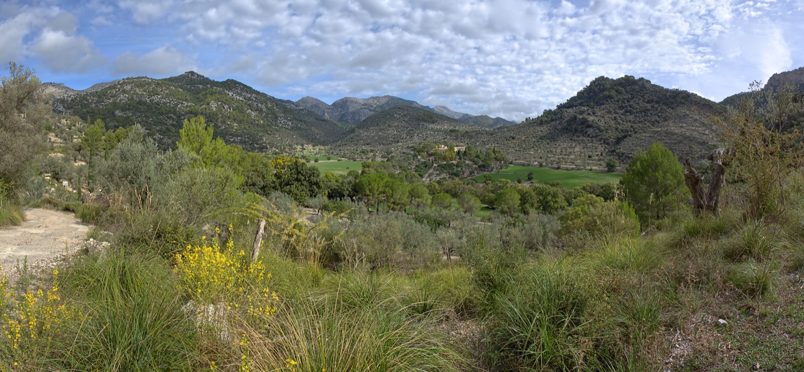 Mallorca countryside