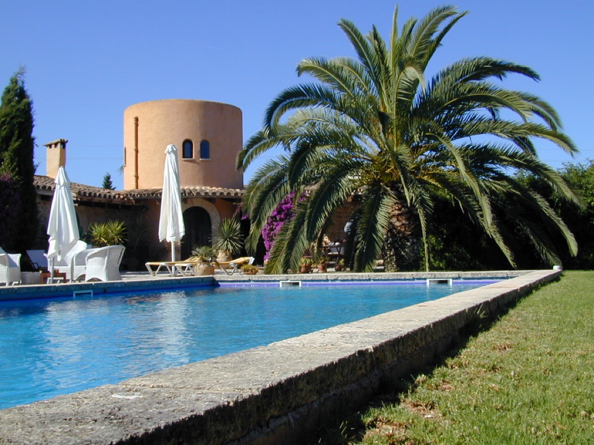 Pool and garden maintenance in Mallorca